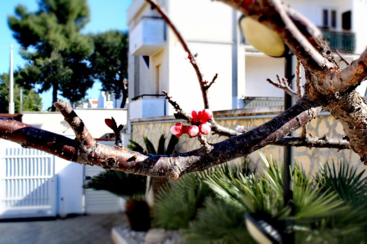 Villa Amelie บิสเชลเย ภายนอก รูปภาพ